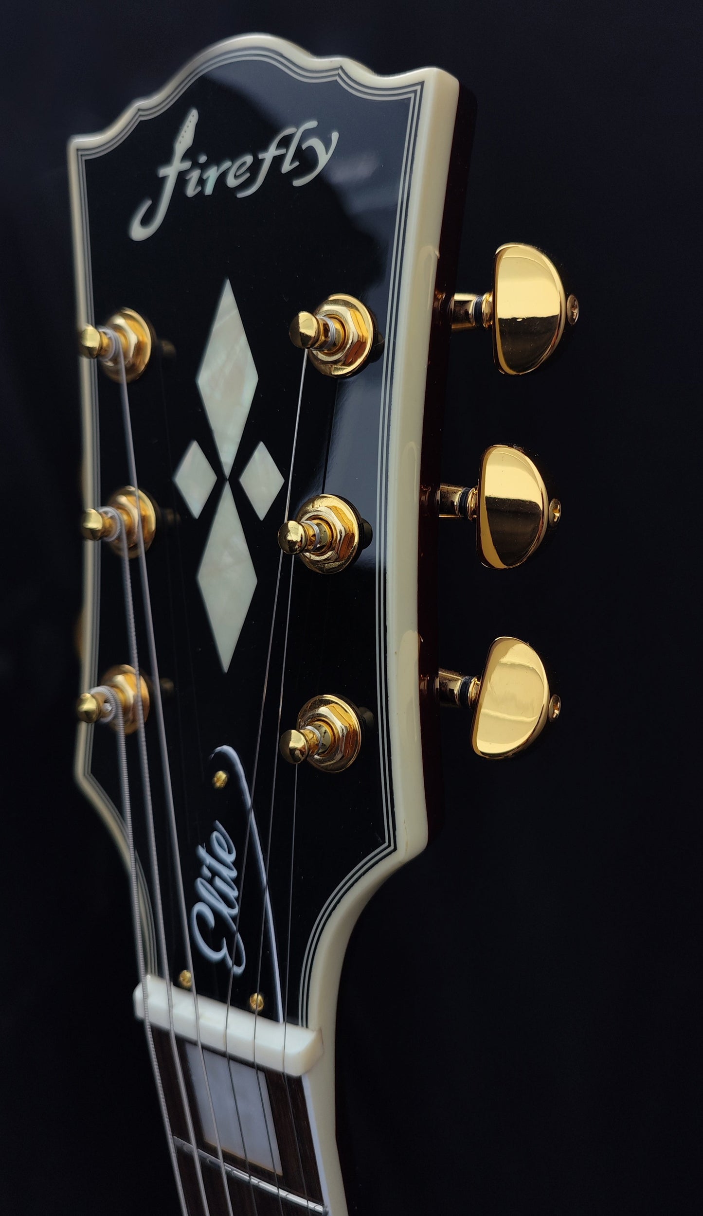 NEW Firefly FFSPS ELECTRIC GUITARS Spalted Maple Top(Nature Color)