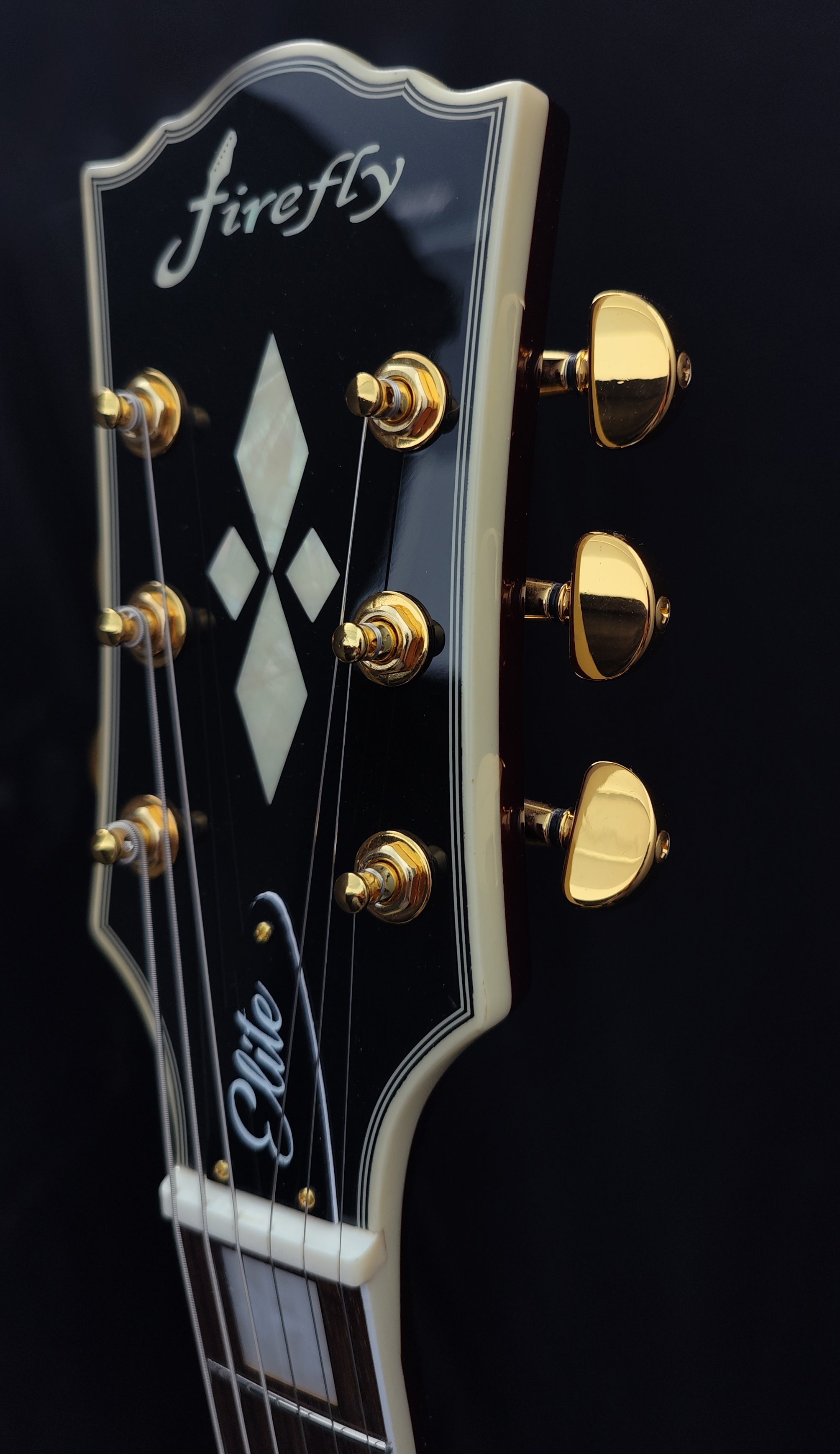NEW Firefly FFSPS ELECTRIC GUITARS Spalted Maple Top(Nature Color)