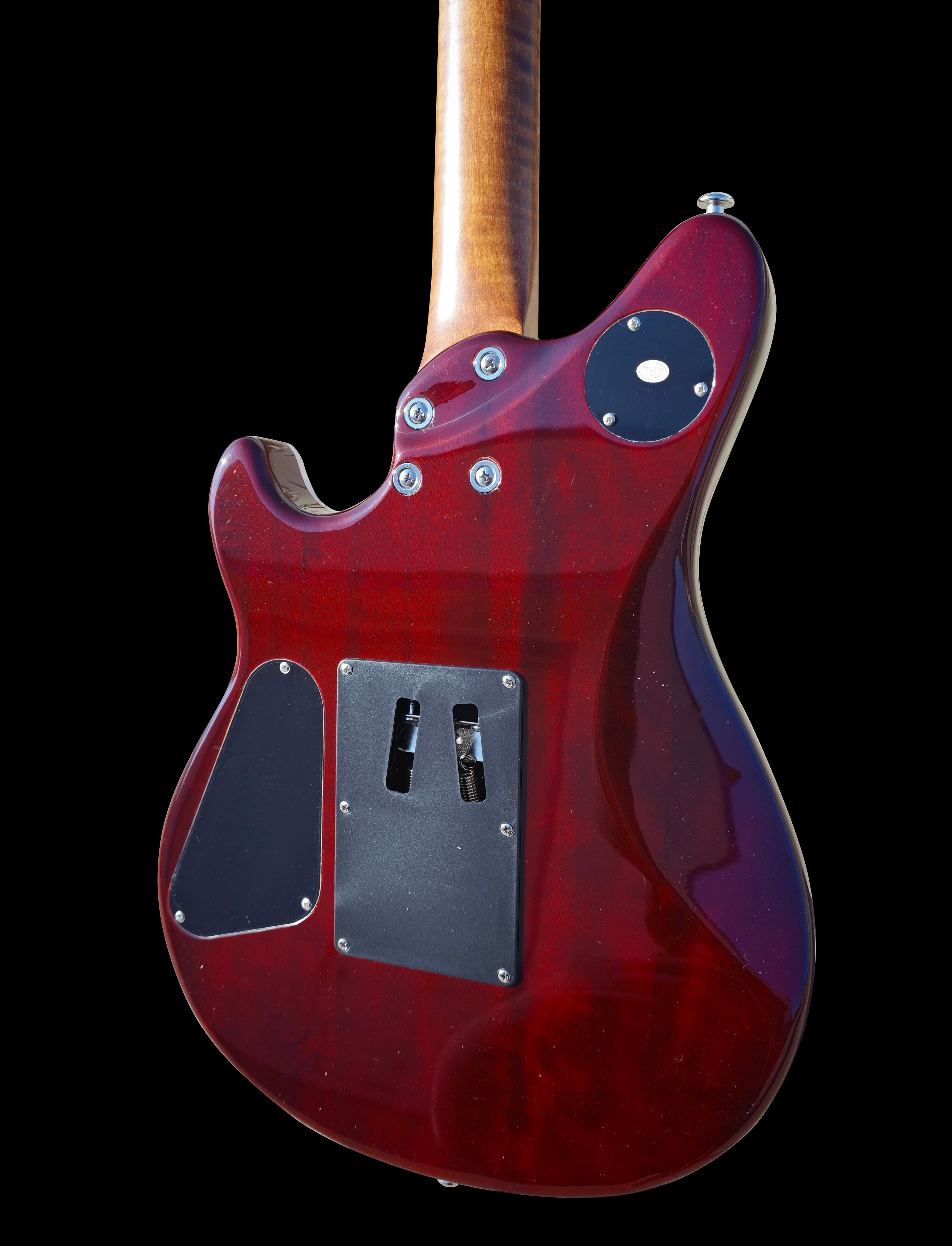 Firefly FFMN Electric Guitar With Flamed Maple Top (Purple Color)