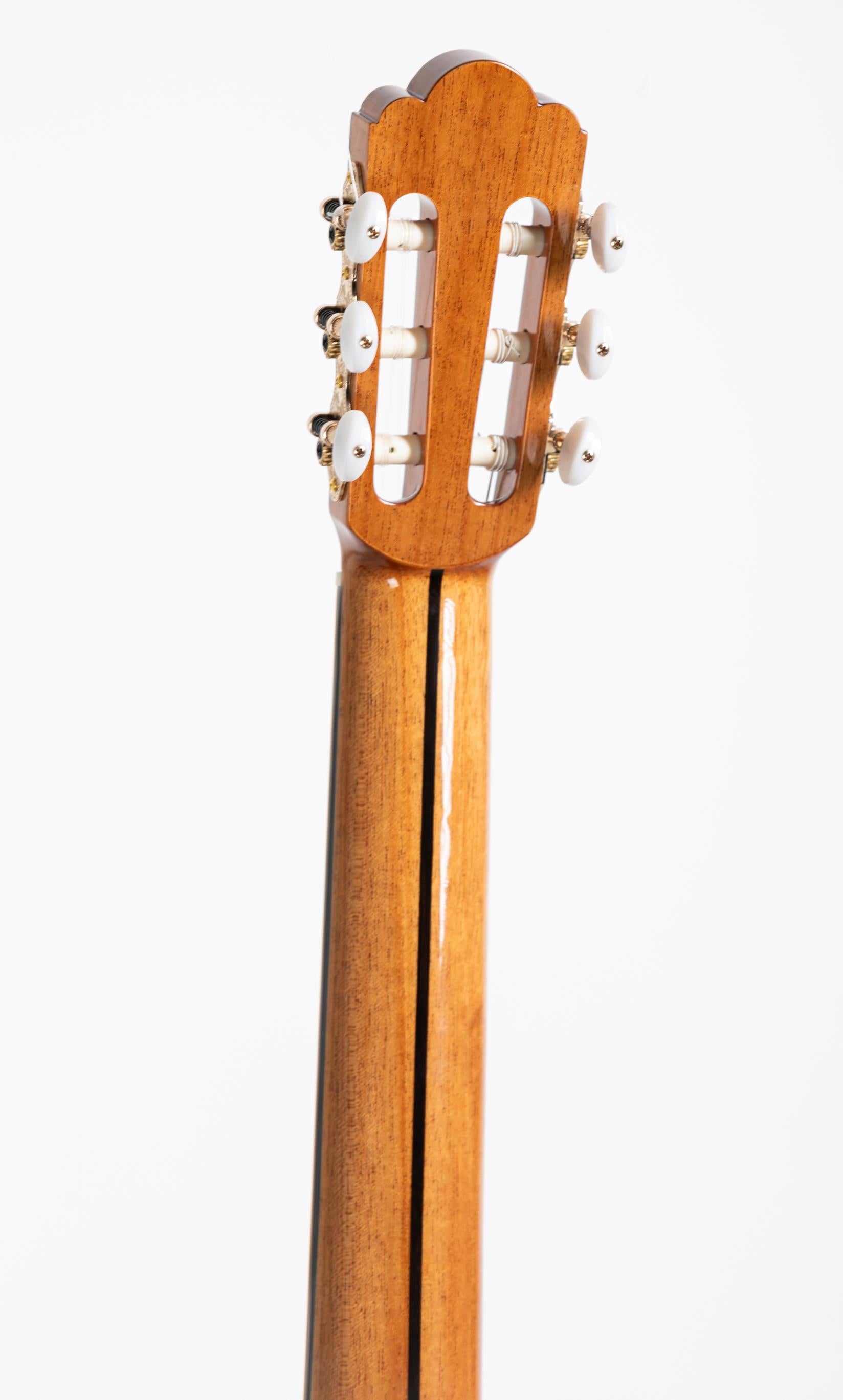 New Firefly GAC25 Classical Acoustic Guitar