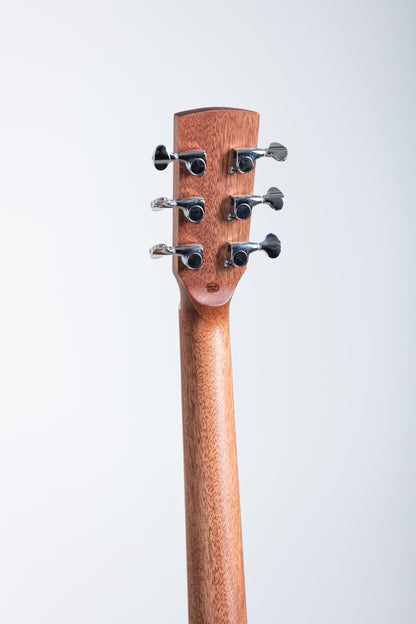 New Firefly GT01-E Thinline Acoustic guitar with Fishman Presys EQ
